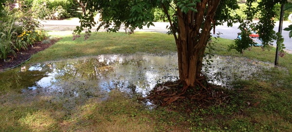 Greenbelt Homes common area Greenbelt Homes common area