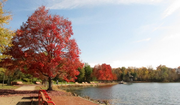 Lots to Love about Lake Artemesia