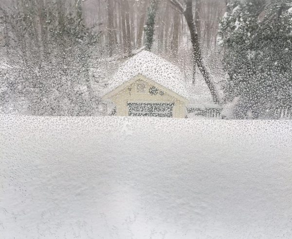 Greenbelt in the 2016 Blizzard