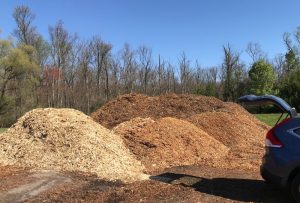 pile of wood chips pile of wood chips