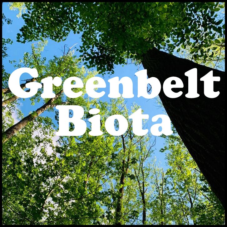 Greenbelt Biota
