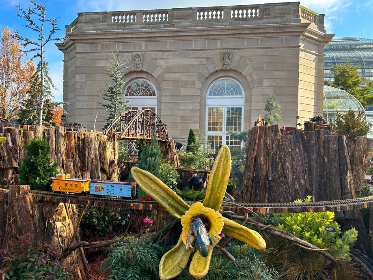 Great DC Outing for the Holidays - Trains and More at the US Botanic Garden  - Greenbelt Online